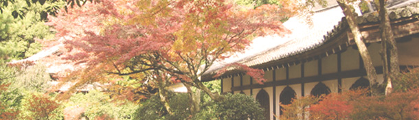 Los carácteres del japonés son uno de los datos más curiosos de esta lengua