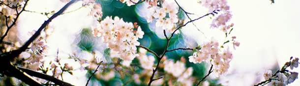 Estas curiosidades del japonés revelan que se trata de un idioma de por sí bastante peculiar