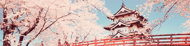 El japonés es una de las lenguas con mejor trayectoria en el tiempo