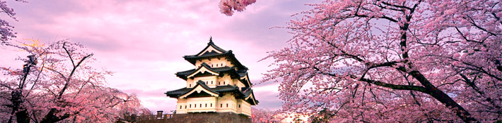 Tampoco podía faltar el japonés entre los títulos de idiomas más importantes