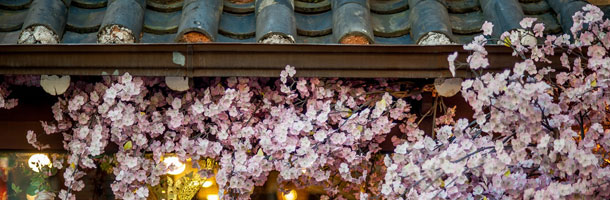Hoy toca aprender los meses en japonés y los días