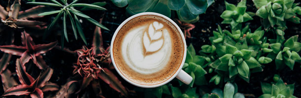 Veamos cómo pedir un café en 32 idiomas distintos