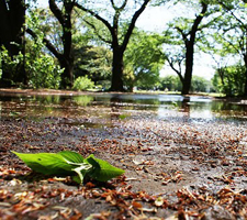 Dentro de las cosas cuyo nombre no sabías que existía está este olor