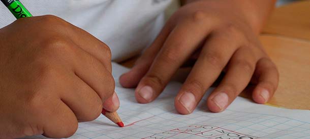 Nuevas matrículas 2021