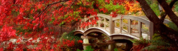 Son muchos los proverbios japoneses que se utilizan habitualmente