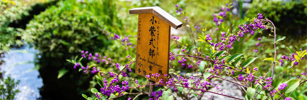 Las palabras básicas en japonés que necesitas saber