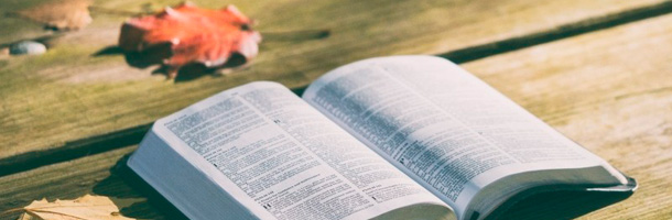 Aprende una serie de palabras curiosas del inglés que seguro no conocías