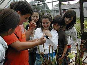 niños aprendiendo con plantas niños aprendiendo con plantas