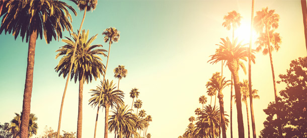 Con estas becas podrás hacer prácticas en  Estados Unidos