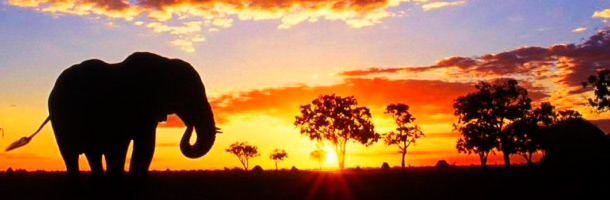 prácticas_unicef_en_cualquier_parte_del_mundo