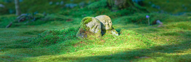 Una serie de proverbios japoneses que conviene conocer