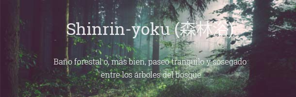 El japonés cuenta con un vocabulario muy amplio