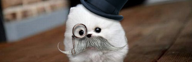 Lord Bigotes incrementa su señorío con estas palabras para quedar como todo un señor