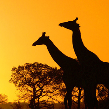 Sorprende, pero sigue siendo uno de los destinos más exóticos para aprender inglés