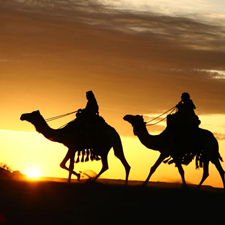 Uno de los pocos Test de nivel de árabe gratuitos que encontrarás