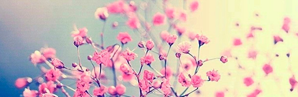 Algunas de las palabras más bonitas del inglés aquí recopiladas