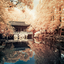 Quizás el Test de nivel de japonés sea el más difícil de los aquí presentes