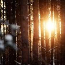 Los japoneses tienen en su haber diversas palabras sin traducción