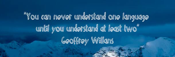 también sirven para el tumblr en inglés