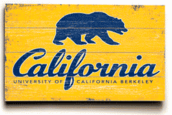 universidad_berkeley_bears